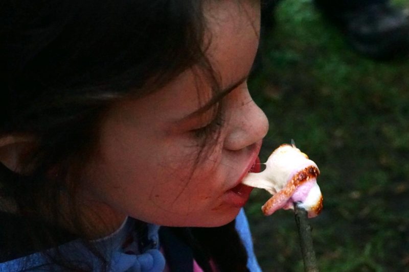 toasted-marshmallows-tasting-eating-outdoor-treat