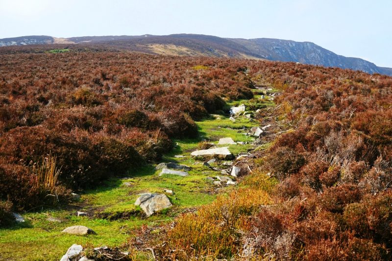 hiking-trail-heather-luggala-cliffs-wicklow-ireland