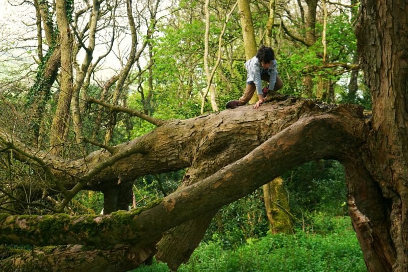 tree-climbing-boy