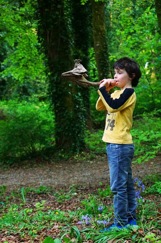wood-hunting-horn-boy-play