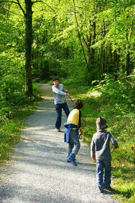 three-boys-walking-trail-play