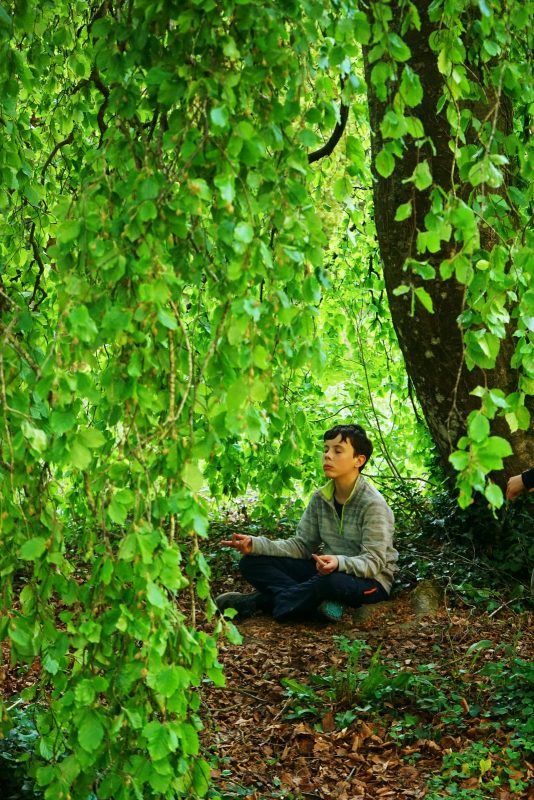weeping-willow-arboretum-boy-meditation