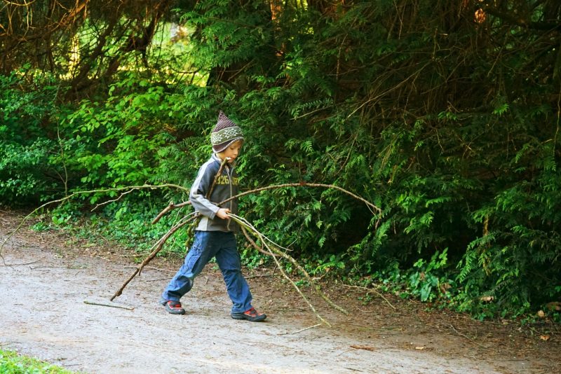 boy-walking-sticks-firewood