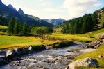 alpine-meadow-pâturage-alpin-clarée