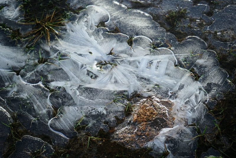 ice-pattern-frozen-puddle